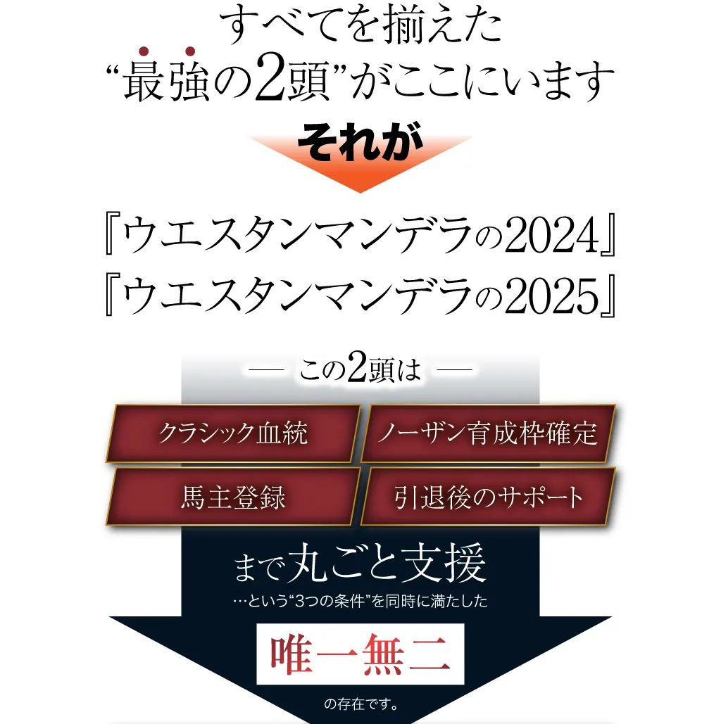 すべてを揃えた“最強の2頭”がここにいます。それが『ウエスタンマンデラの2024』『ウエスタンマンデラの2025』この2頭は、クラシック血統×ノーザン育成枠確定×馬主登録×引退後のサポートまで丸ごと支援…という“3つの条件”を同時に満たした、唯一無二の存在です。