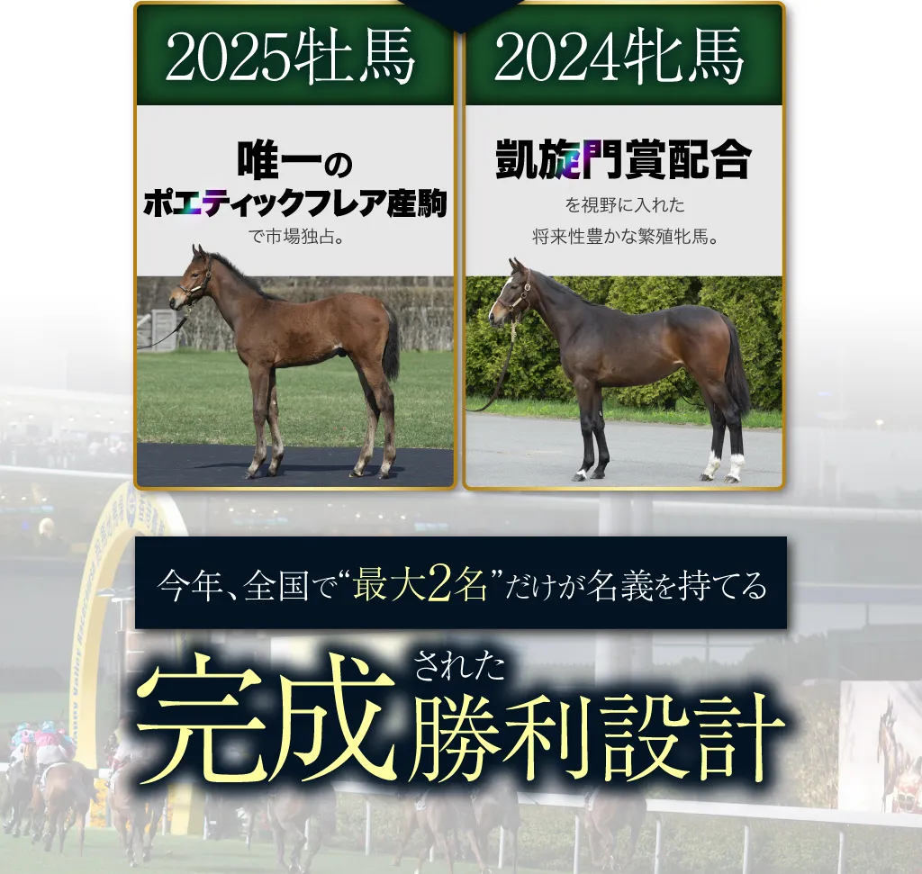 【2025牡馬】：唯一のポエティックフレア産駒で市場独占。【2024牝馬】：凱旋門賞配合を視野に入れた将来性豊かな繁殖牝馬。今年、全国で“最大2名”だけが名義を持てる、完成された勝利設計。