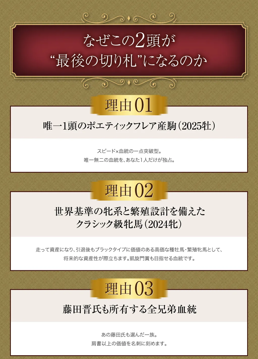 なぜこの2頭が“最後の切り札”になるのか。唯一1頭のポエティックフレア産駒（2025牡）スピード×血統の一点突破型。唯一無二の血統を、あなた1人だけが独占。世界基準の牝系と繁殖設計を備えたクラシック級牝馬（2024牝）走って資産になり、引退後もブラックタイプに価値のある高価な種牡馬・繁殖牝馬として、将来的な資産性が際立ちます。凱旋門賞も目指せる血統です。藤田晋氏も所有する全兄弟血統。あの藤田氏も選んだ一族。肩書以上の価値を名刺に刻めます。