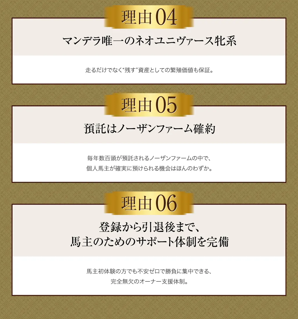 マンデラ唯一のネオユニヴァース牝系。走るだけでなく“残す”資産としての繁殖価値も保証。預託はノーザンファーム確約。毎年数百頭が預託されるノーザンファームの中で、個人馬主が確実に預けられる機会はほんのわずか。登録から引退後まで、馬主のためのサポート体制を完備。馬主初体験の方でも不安ゼロで勝負に集中できる、完全無欠のオーナー支援体制。