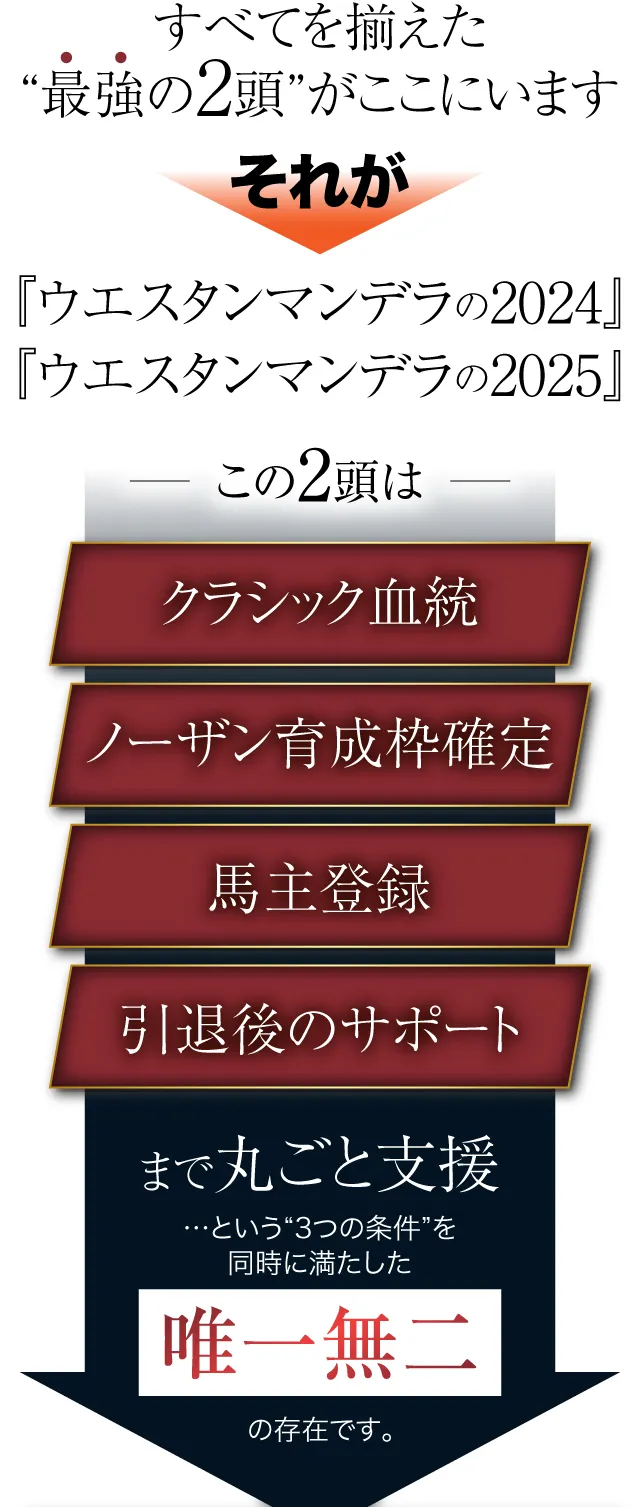 すべてを揃えた“最強の2頭”がここにいます。それが『ウエスタンマンデラの2024』『ウエスタンマンデラの2025』この2頭は、クラシック血統×ノーザン育成枠確定×馬主登録×引退後のサポートまで丸ごと支援…という“3つの条件”を同時に満たした、唯一無二の存在です。