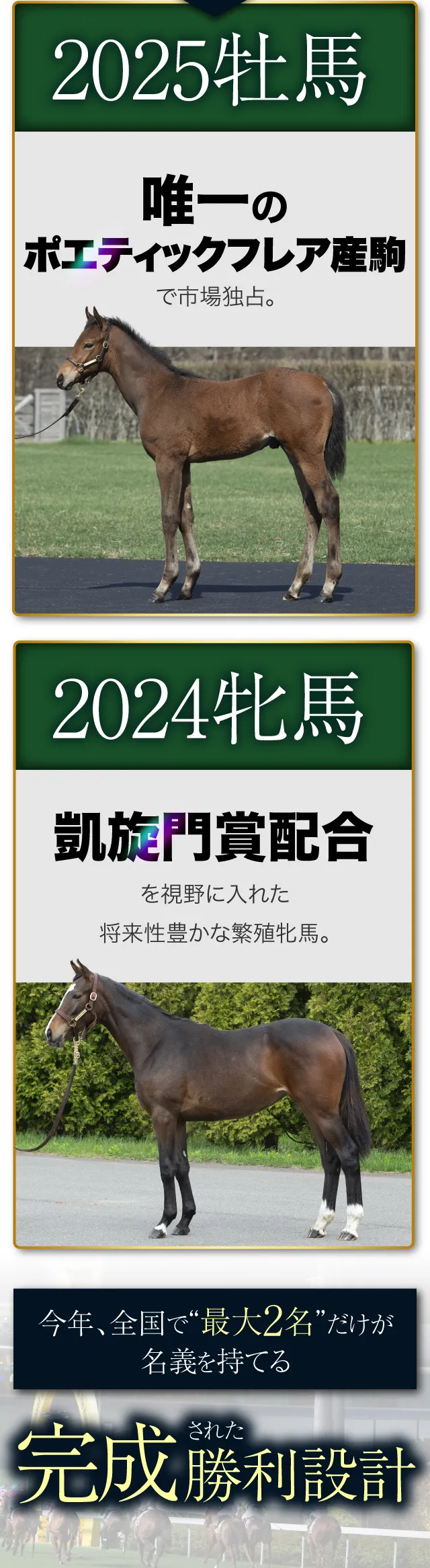 【2025牡馬】：唯一のポエティックフレア産駒で市場独占。【2024牝馬】：凱旋門賞配合を視野に入れた将来性豊かな繁殖牝馬。今年、全国で“最大2名”だけが名義を持てる、完成された勝利設計。