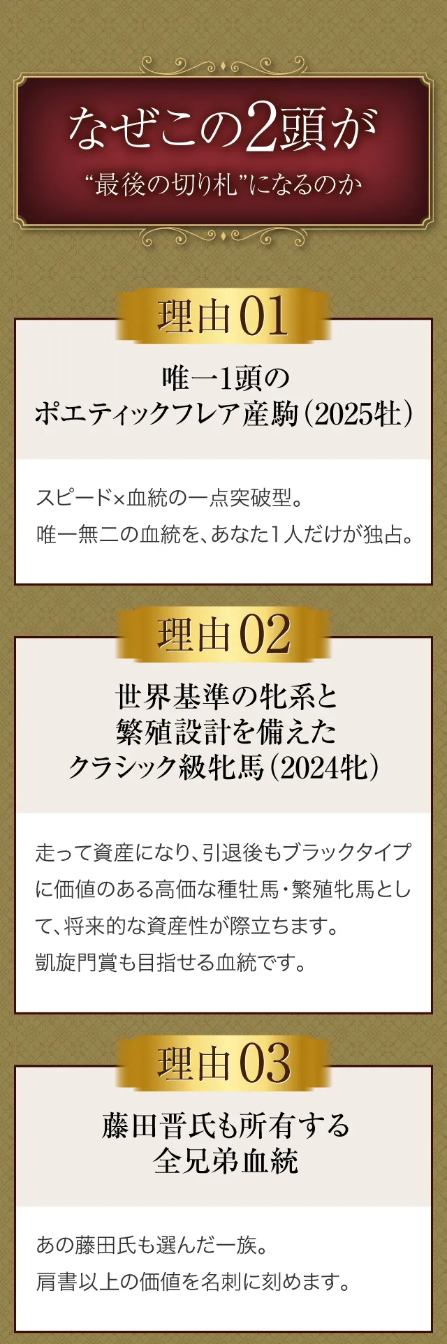 なぜこの2頭が“最後の切り札”になるのか。唯一1頭のポエティックフレア産駒（2025牡）スピード×血統の一点突破型。唯一無二の血統を、あなた1人だけが独占。世界基準の牝系と繁殖設計を備えたクラシック級牝馬（2024牝）走って資産になり、引退後もブラックタイプに価値のある高価な種牡馬・繁殖牝馬として、将来的な資産性が際立ちます。凱旋門賞も目指せる血統です。藤田晋氏も所有する全兄弟血統。あの藤田氏も選んだ一族。肩書以上の価値を名刺に刻めます。