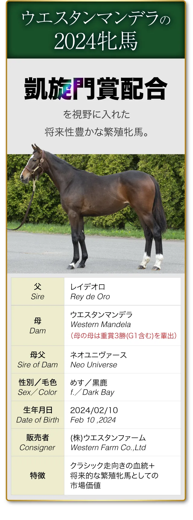 【ウエスタンマンデラの2025（牡）】
			父：ポエティックフレア（今年唯一、2025年産牡馬）
			母：ウエスタンマンデラ
			母父：ネオユニヴァース
			性別／毛色：牡／鹿
			生年月日：2025/02/03
			販売者：(株)ウエスタンファーム
			特徴：希少性 × スピードとスタミナを兼備した勝負血統